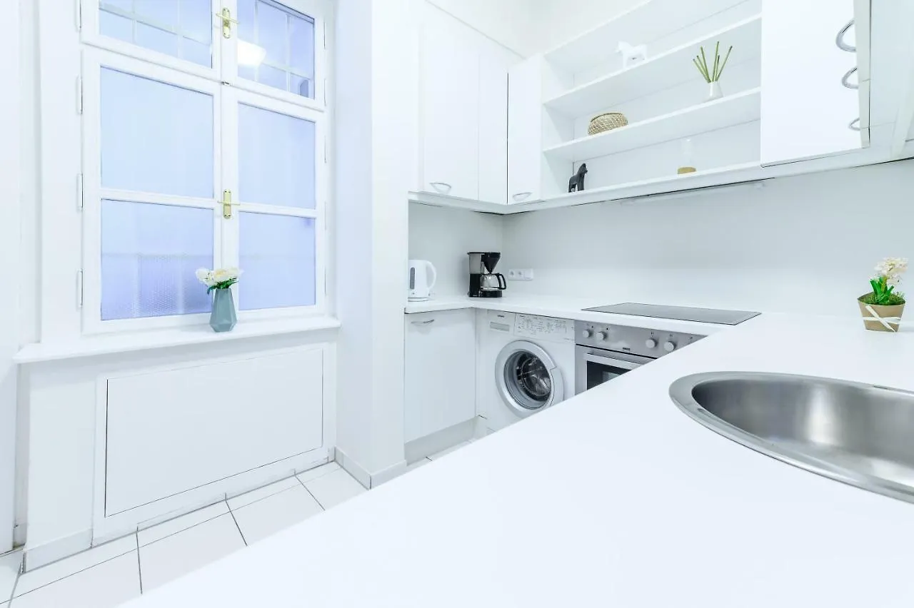 Beautiful Inner City Apartment Vienna Austria