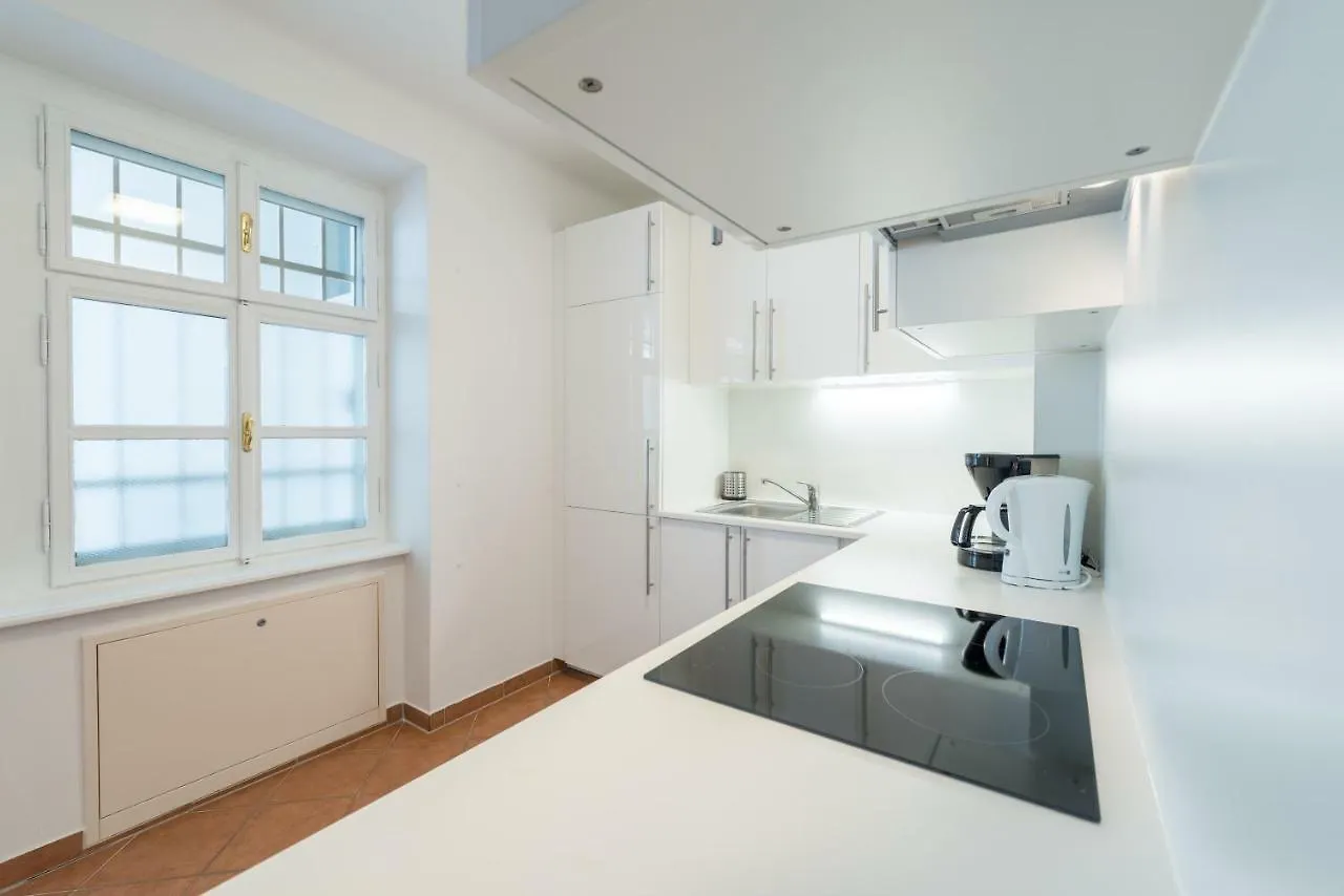 Beautiful Inner City Apartment Vienna Austria